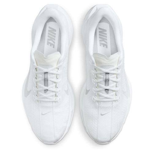 Nike Pegasus Plus